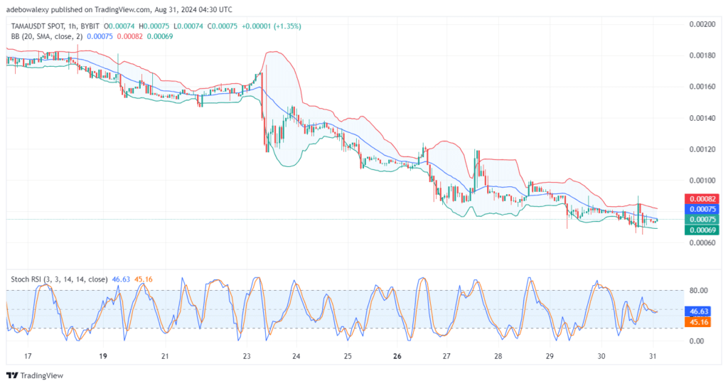 Tamadoge (TAMA) Price Outlook for August 31: TAMA/USDT Sees a Bullish Retracement