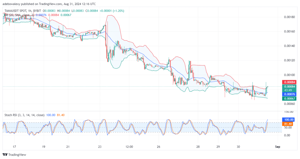 Tamadoge (TAMA) Price Outlook for August 31: TAMA/USDT Bulls Are Breaking Forth