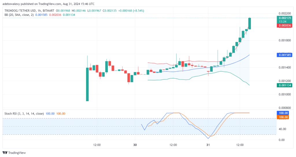 Trending Cryptocurrencies for August 31, 2024: DOGS, TRONDOG, BTC, TON, and SOL