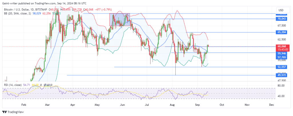 Bitcoin Slows Down Bullish Run at the $60,000 Significant Zone