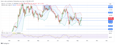 Bitcoin Slows Down Bullish Run at the ,000 Significant Zone