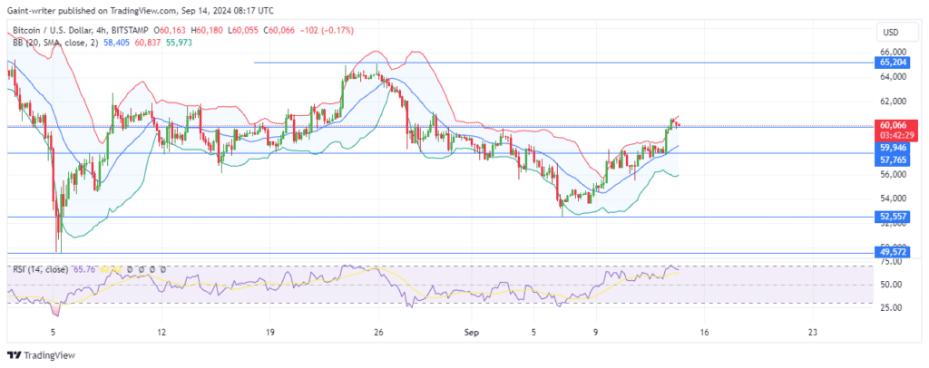 Bitcoin Slows Down Bullish Run at the $60,000 Significant Zone