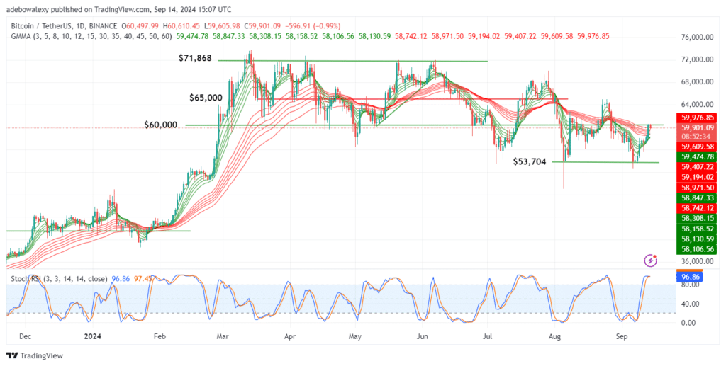 Trending Cryptocurrencies for September 14, 2024: CAT, CATE, DOGS, DOGE, and BTC