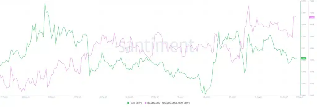 Ripple Gains Momentum as Grayscale Launches XRP Trust in the U.S.