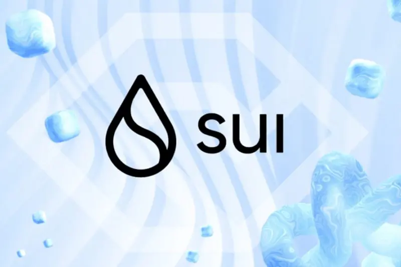 Sui Blockchain Experiences Explosive Growth in Q4 2024: Messari