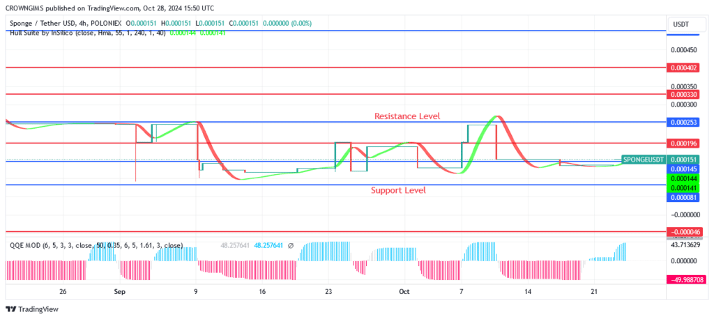 Sponge Price: Strong Bullish Candles Are Showing Up