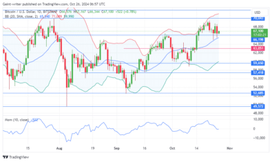 Bitcoin Struggles to Maintain Bullish Momentum Above $66,190 Key Level