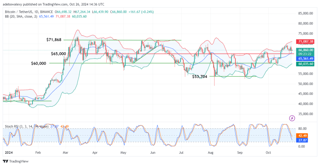 Trending Coins for October 26, 2024: X, BTC, GOAT, SOL, and SUI