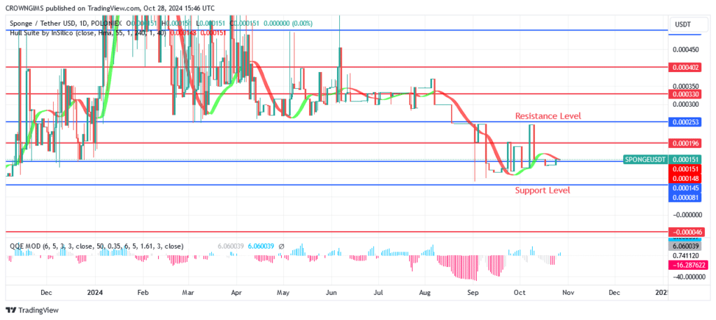 Sponge Price: Strong Bullish Candles Are Showing Up