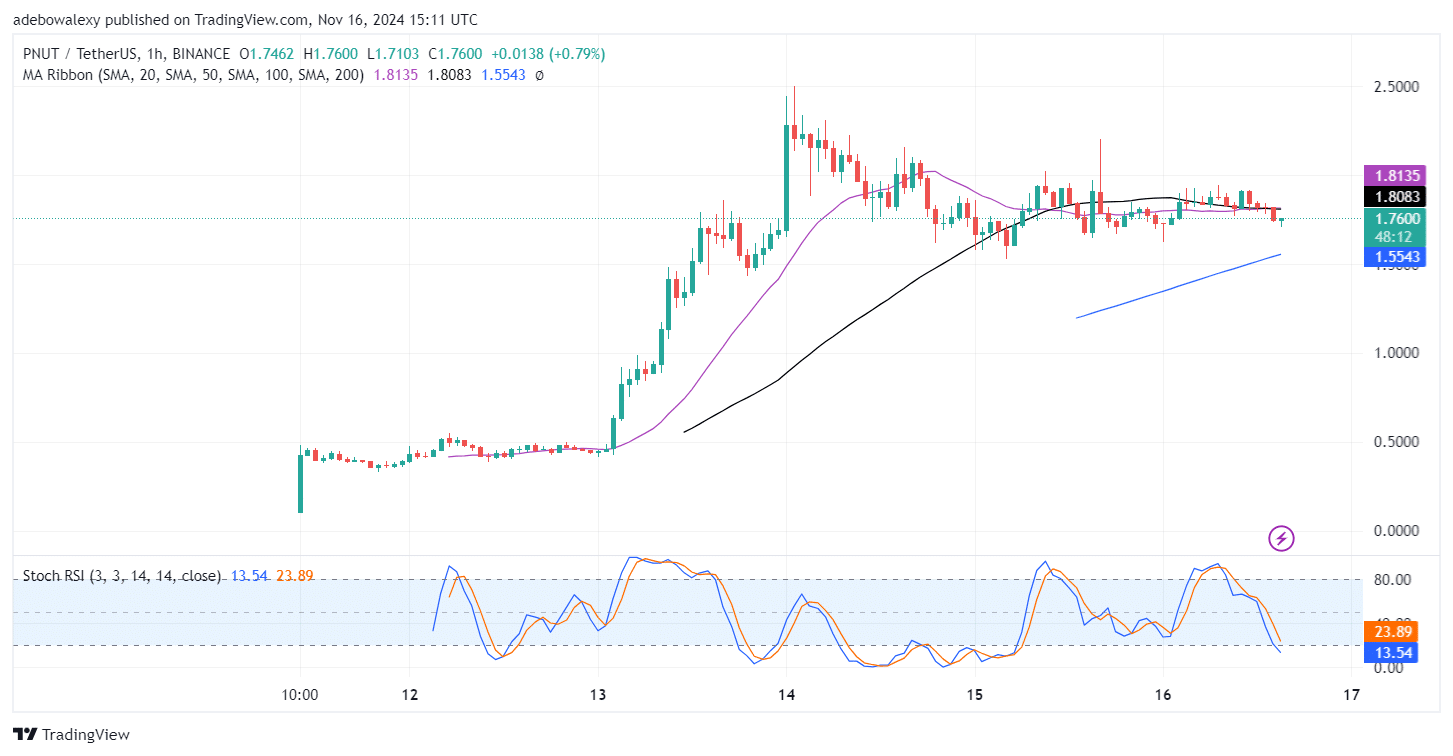 Trending Cryptocurrencies for November 16, 2024: FLOKI, BOME, NEIRO, PEOPLE, and PNUT