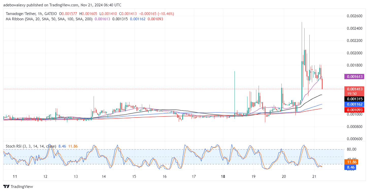 Tamadoge (TAMA) Price Outlook for November 21: TAMA/USDT Now Trades Above an Elevated Support Level