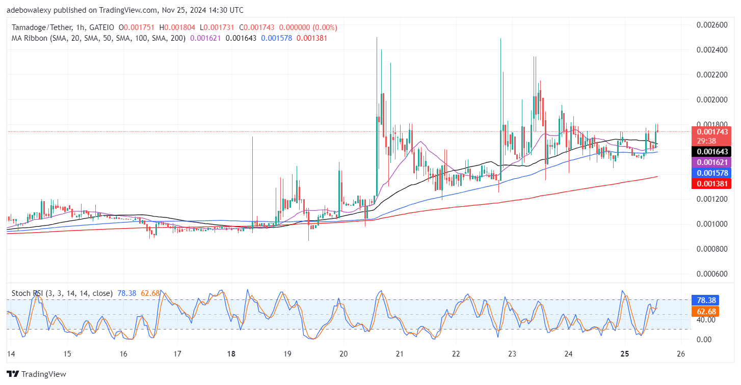 Tamadoge (TAMA) Price Outlook for November 25: TAMA/USDT Buyers Are Clinching Huge Gains