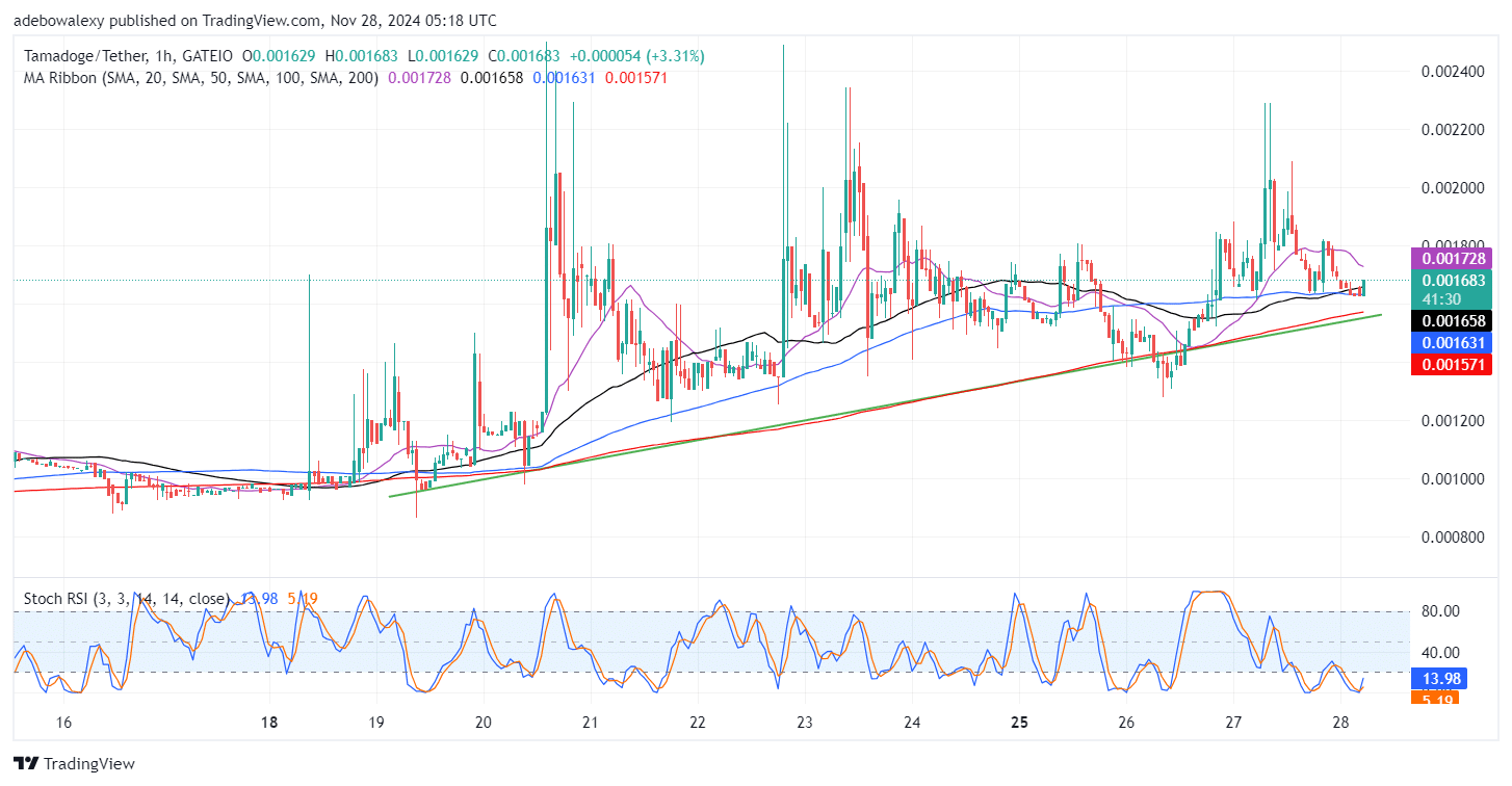 Tamadoge (TAMA) Price Outlook for November 28: TAMA/USDT Bulls Find a Strong Footing