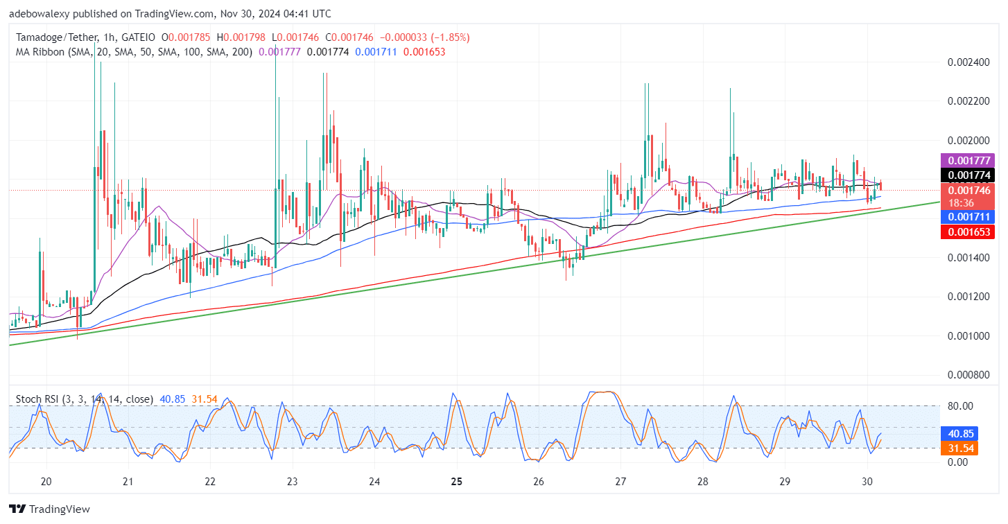 Tamadoge (TAMA) Price Outlook for November 30: TAMA/USDT Bulls Are Sustaining Their Progress