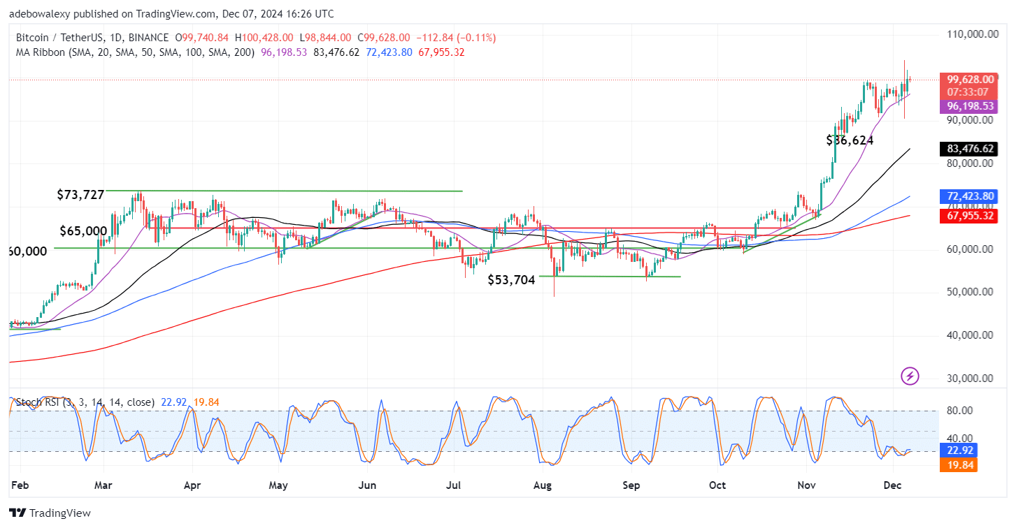 Trending Cryptocurrencies for December 7, 2024: EGO, BTC, STRUMP, BRETT, and ETH