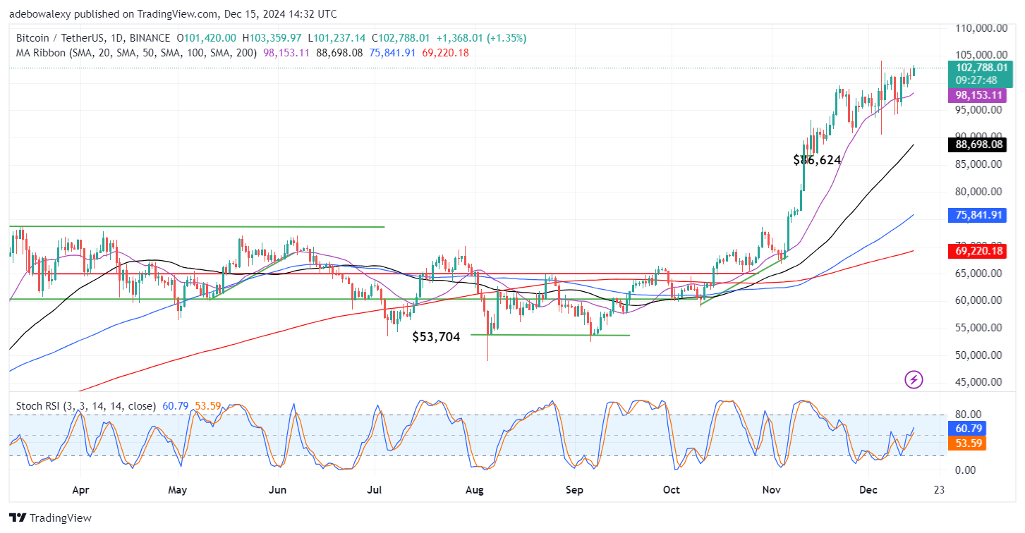 Trending Coins for December 15, 2024: SHANG, MAD, BTC, EGO, and DOGE