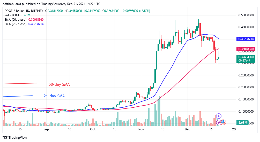 DOGE Revisits the $0.26 Low as Bears Seize Control