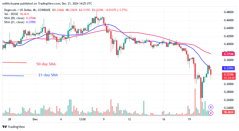 DOGE Revisits the $0.26 Low as Bears Seize Control
