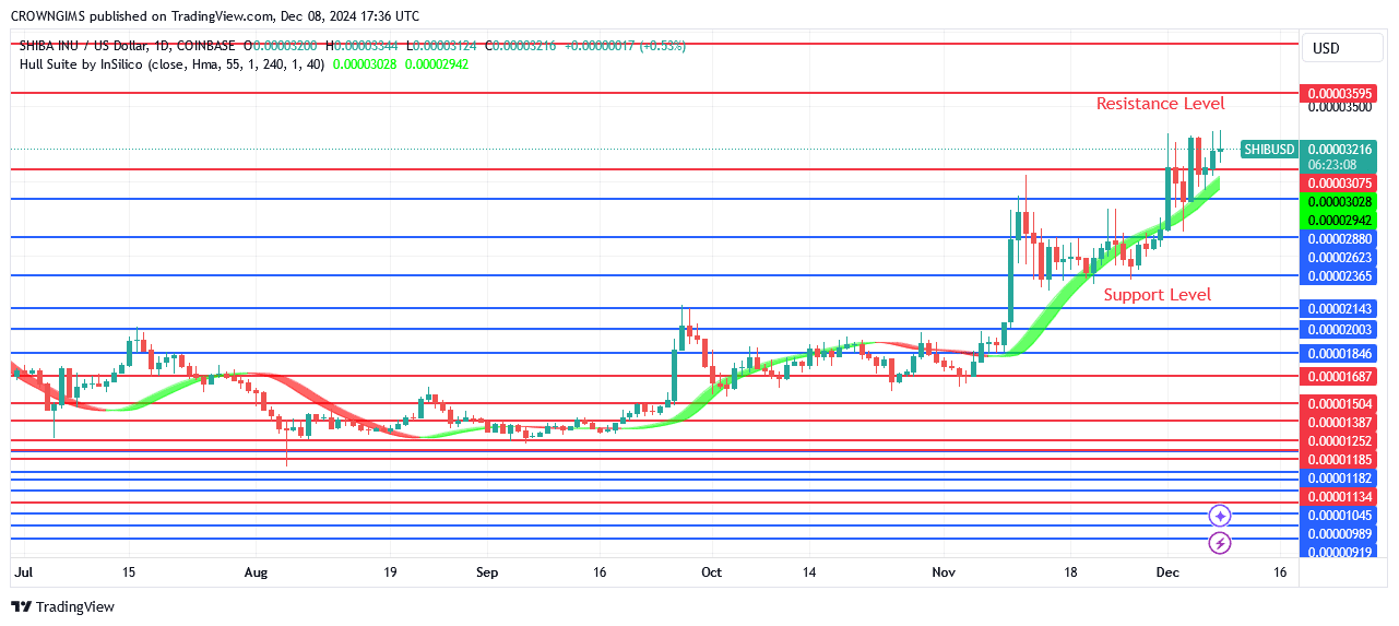 Shiba Inu (SHIB) Market Is Testing $0.000033 Resistance Level