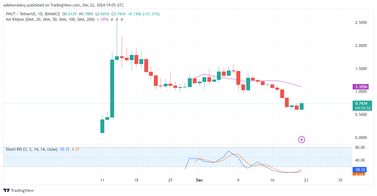 Trending Cryptocurrencies for December 22, 2024: HIVE, USACOIN, PNUT, BTT, and FTT