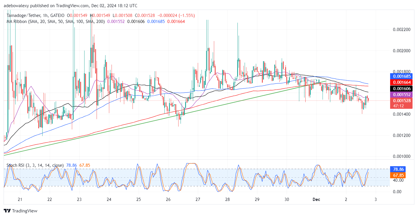 Tamadoge (TAMA) Price Outlook for December 3: TAMA/USDT Bulls Regain Traction at a Key Support