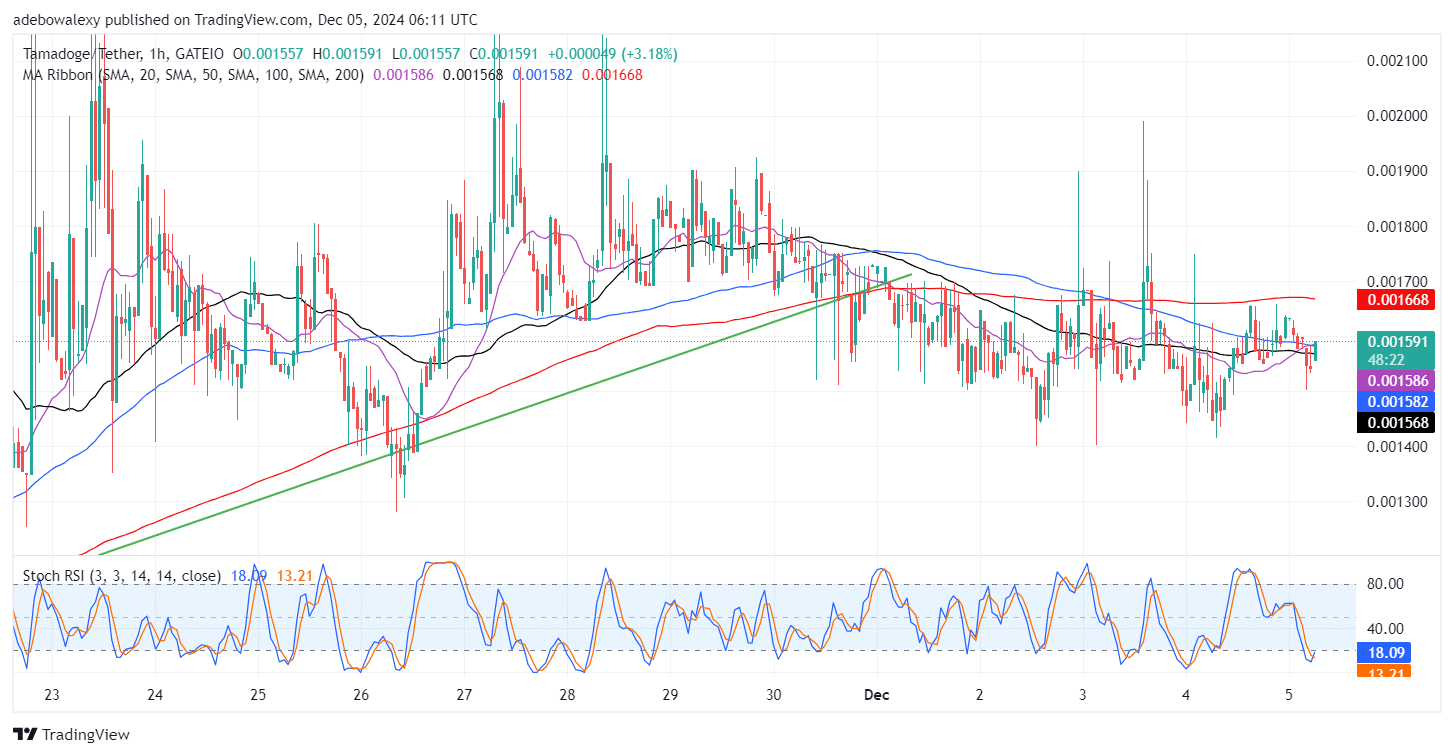 Tamadoge (TAMA) Price Outlook for December 5: TAMA/USDT Lands on a Key Support