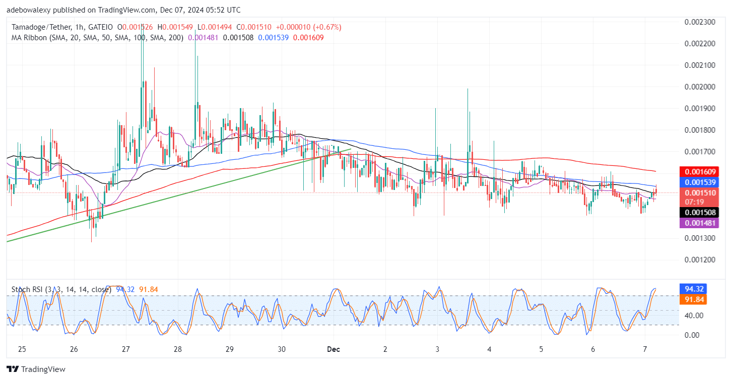 Tamadoge (TAMA) Price Outlook for December 7: The $0.001500 Price Level Stays Unbreached in the TAMA/USDT Market