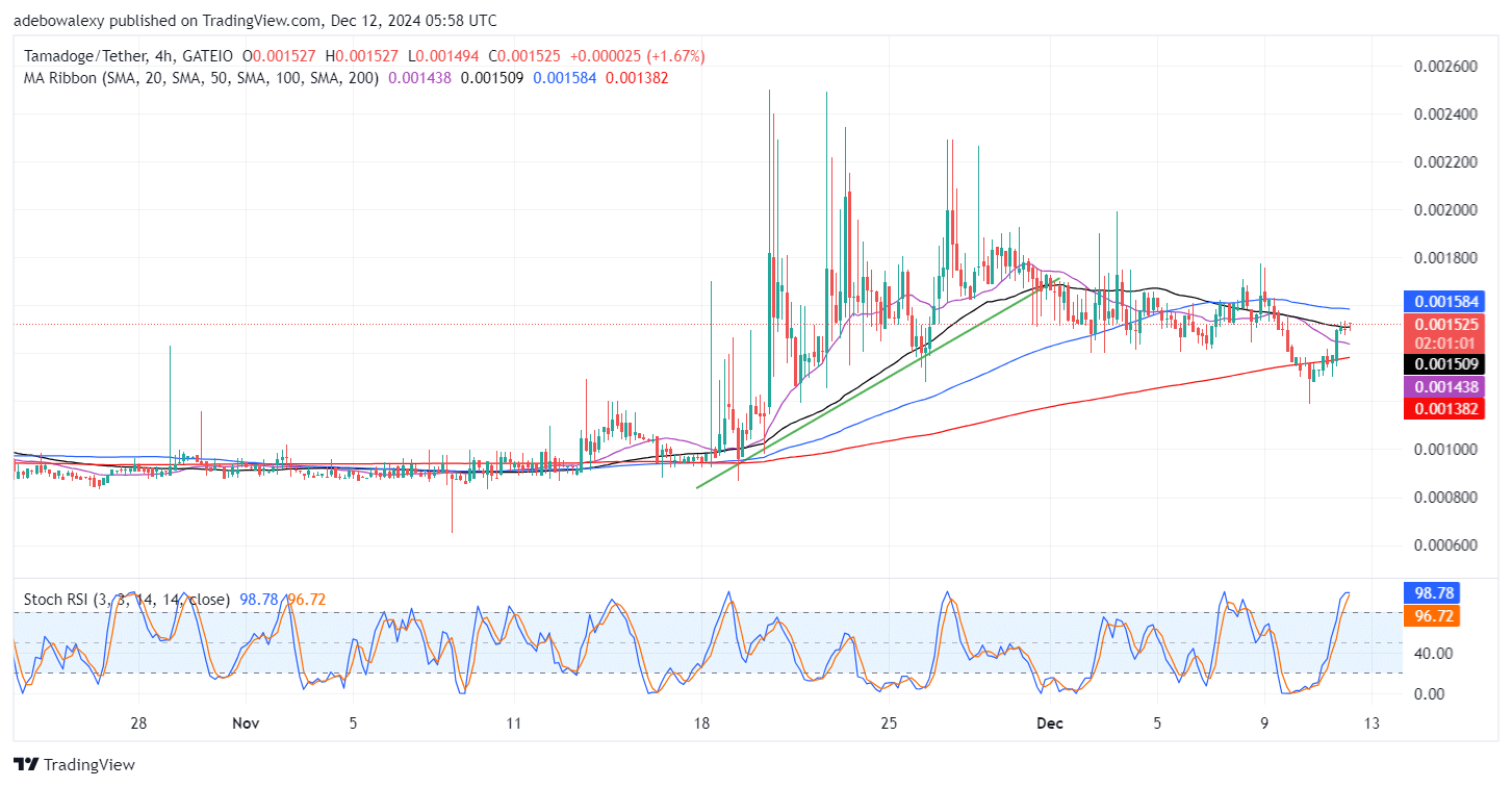 Tamadoge (TAMA) Price Outlook for December 12: Tamadoge Steadily Recovers Towards the $0.001600 Threshold