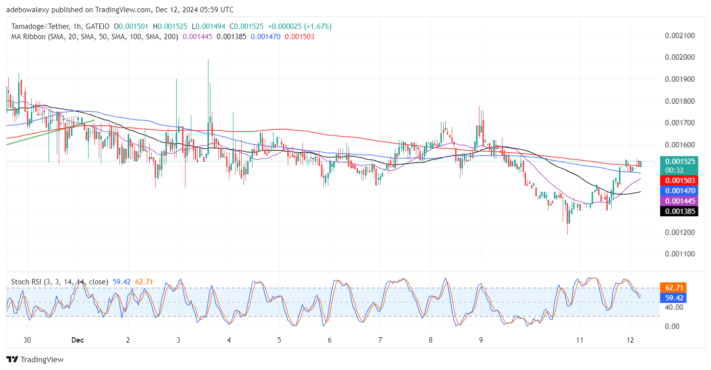 Tamadoge (TAMA) Price Outlook for December 12: Tamadoge Steadily Recovers Towards the $0.001600 Threshold