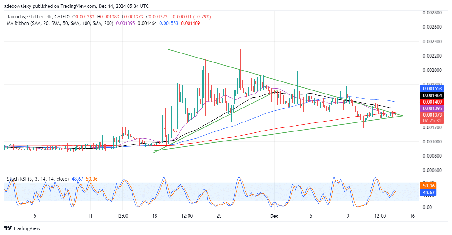 Tamadoge (TAMA) Price Outlook for December 14: TAMA/USDT Bulls Coiled Up for a Massive Thrust