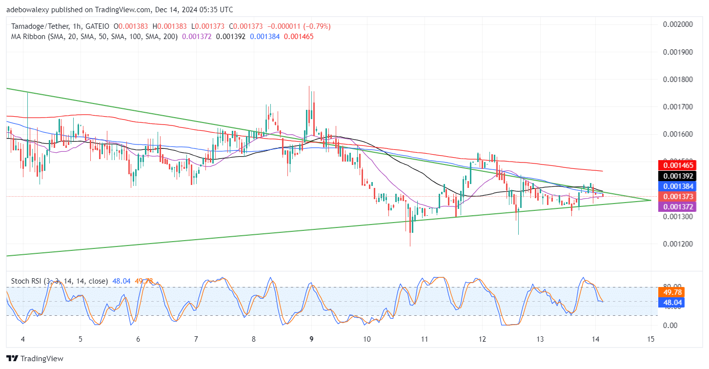 Tamadoge (TAMA) Price Outlook for December 14: TAMA/USDT Bulls Coiled Up for a Massive Thrust