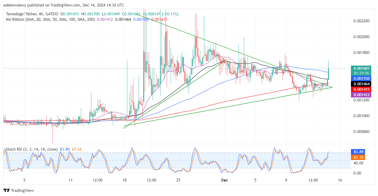 Tamadoge (TAMA) Price Outlook for December 14: TAMA/USDT Bulls Explode