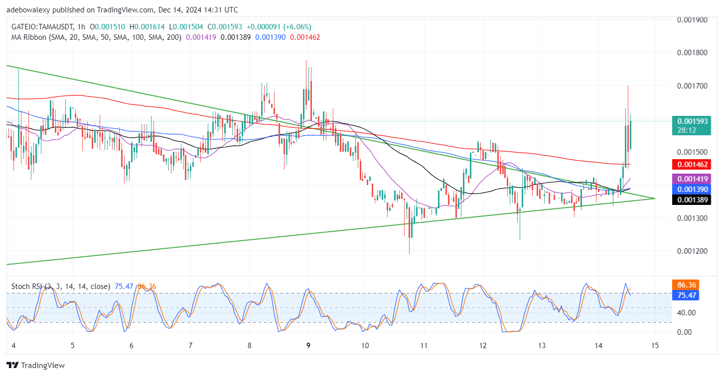 Tamadoge (TAMA) Price Outlook for December 14: TAMA/USDT Bulls Explode