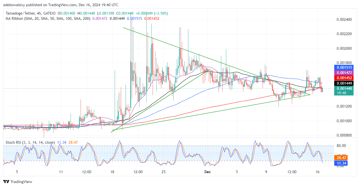 Tamadoge (TAMA) Price Outlook for December 16: TAMA/USDT Buyers Defend a Higher Support