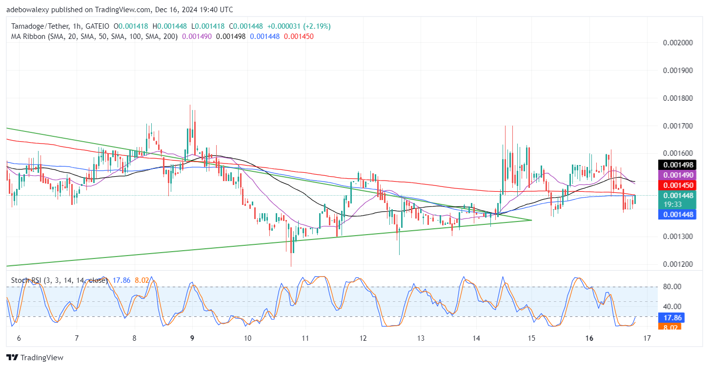 Tamadoge (TAMA) Price Outlook for December 16: TAMA/USDT Buyers Defend a Higher Support