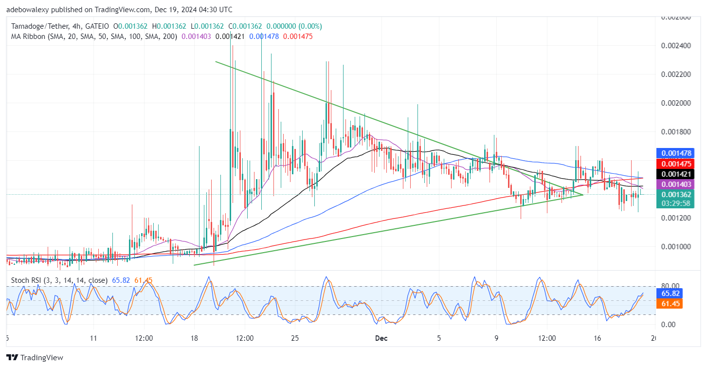 Tamadoge (TAMA) Price Outlook for December 19: TAMA/USDT Buyers Resilient