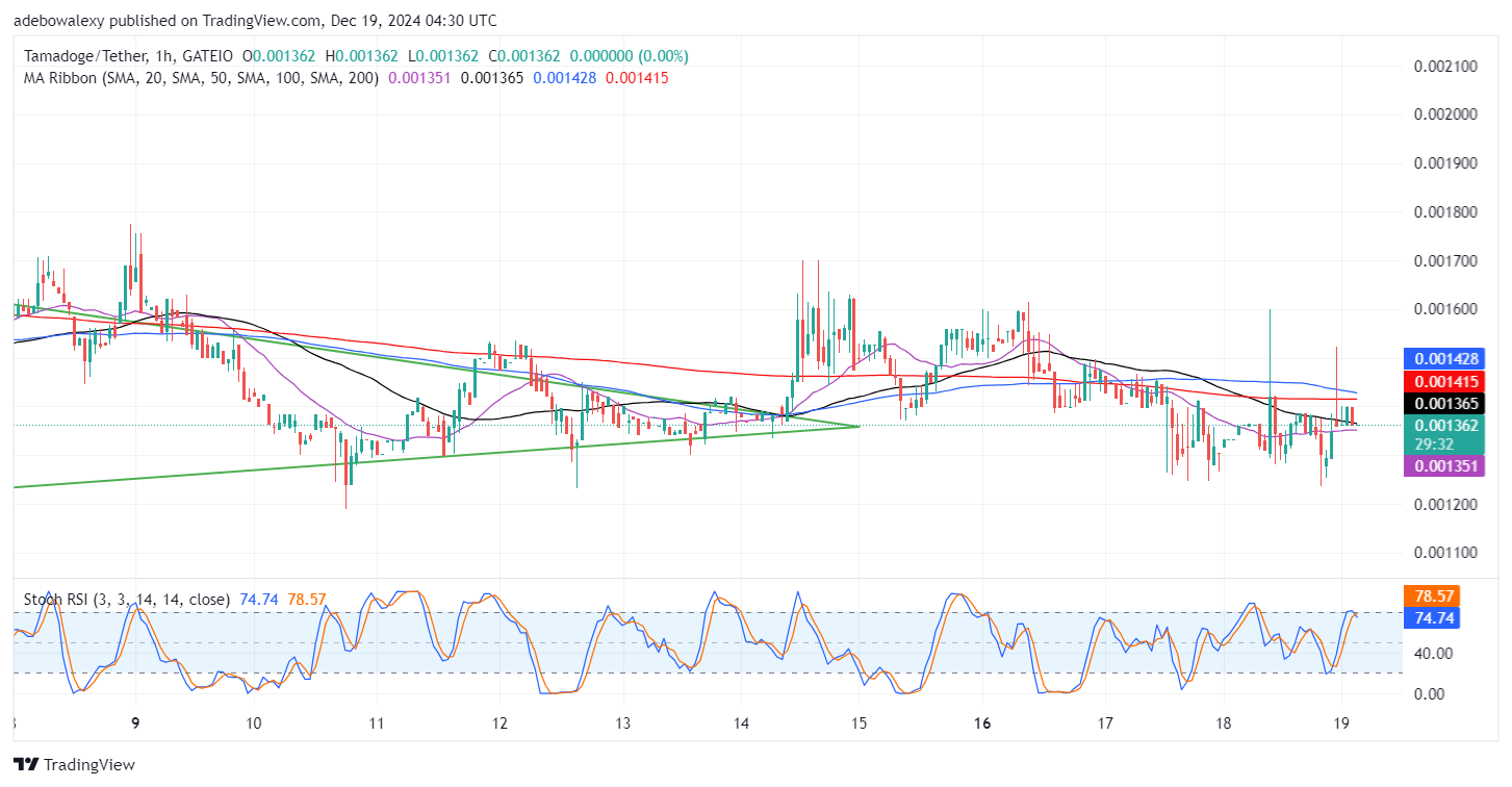 Tamadoge (TAMA) Price Outlook for December 19: TAMA/USDT Buyers Resilient