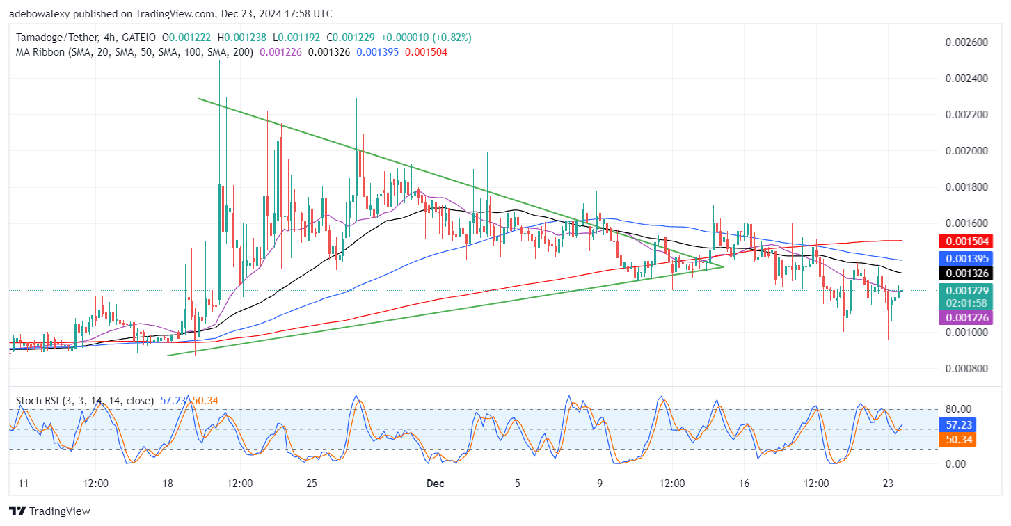 Tamadoge (TAMA) Price Outlook for December 23: Prices in the TAMA/USDT Market Rise Steadily