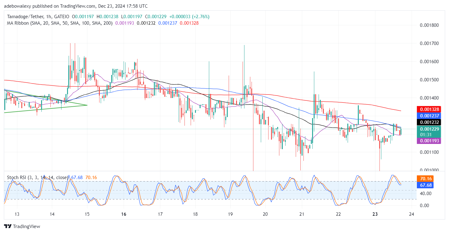 Tamadoge (TAMA) Price Outlook for December 23: Prices in the TAMA/USDT Market Rise Steadily