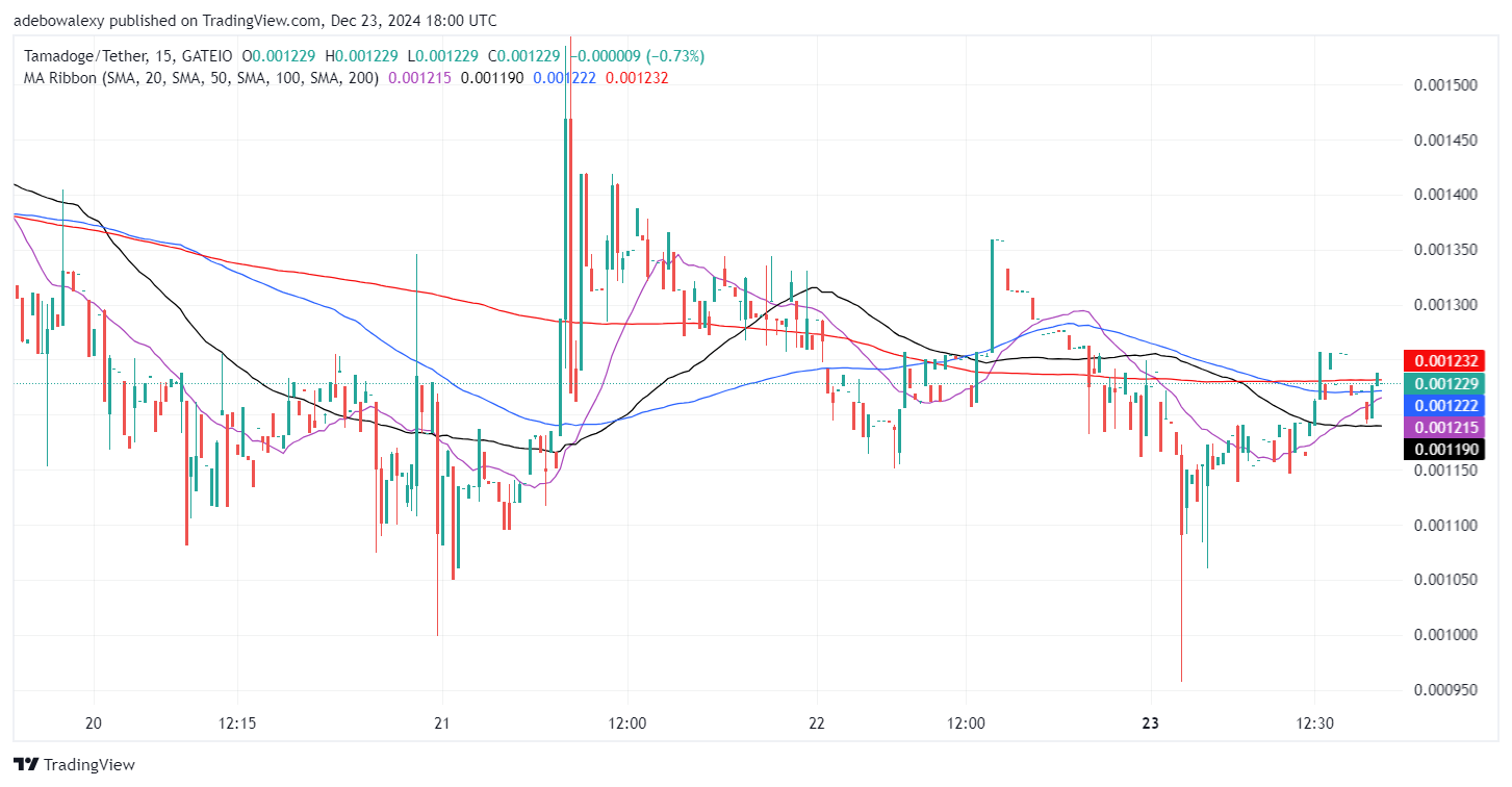 Tamadoge (TAMA) Price Outlook for December 28: TAMA/USDT Bulls Are on the Rise