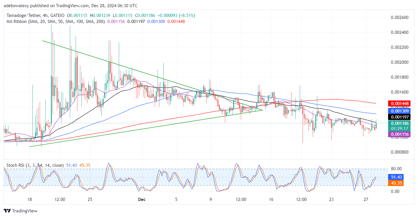 Tamadoge (TAMA) Price Outlook for December 28: Prices in the TAMA/USDT Bulls Are on the Rise