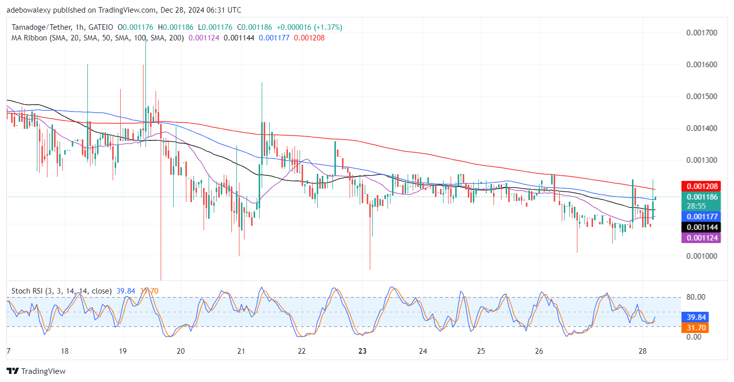 Tamadoge (TAMA) Price Outlook for December 28: Prices in the TAMA/USDT Bulls Are on the Rise