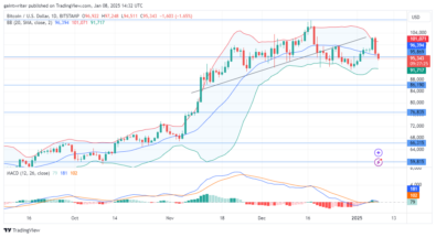 Bitcoin Faces Pressure as Sellers Push to $95,340 Key Level