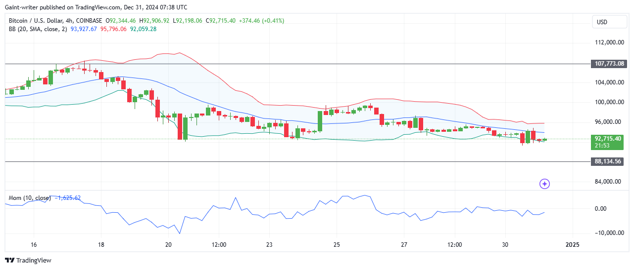 BTCUSD Buyers Eye Recovery Amid Weak Momentum