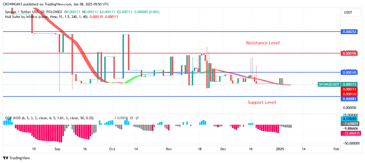 Sponge Price: Bullish Momentum Will Accelerate Soon