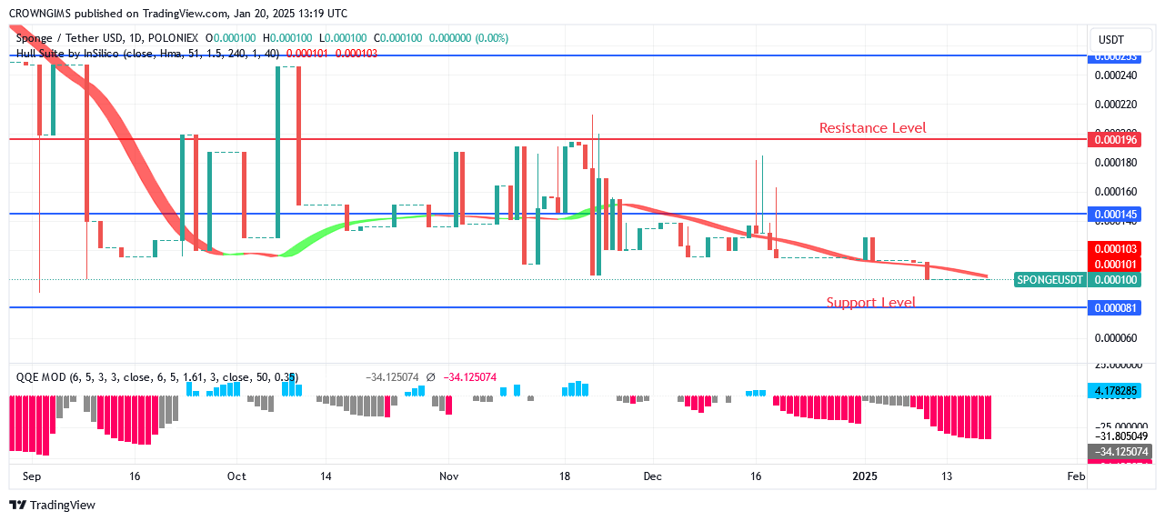 Sponge Price: Bullish Momentum Is Picking Up