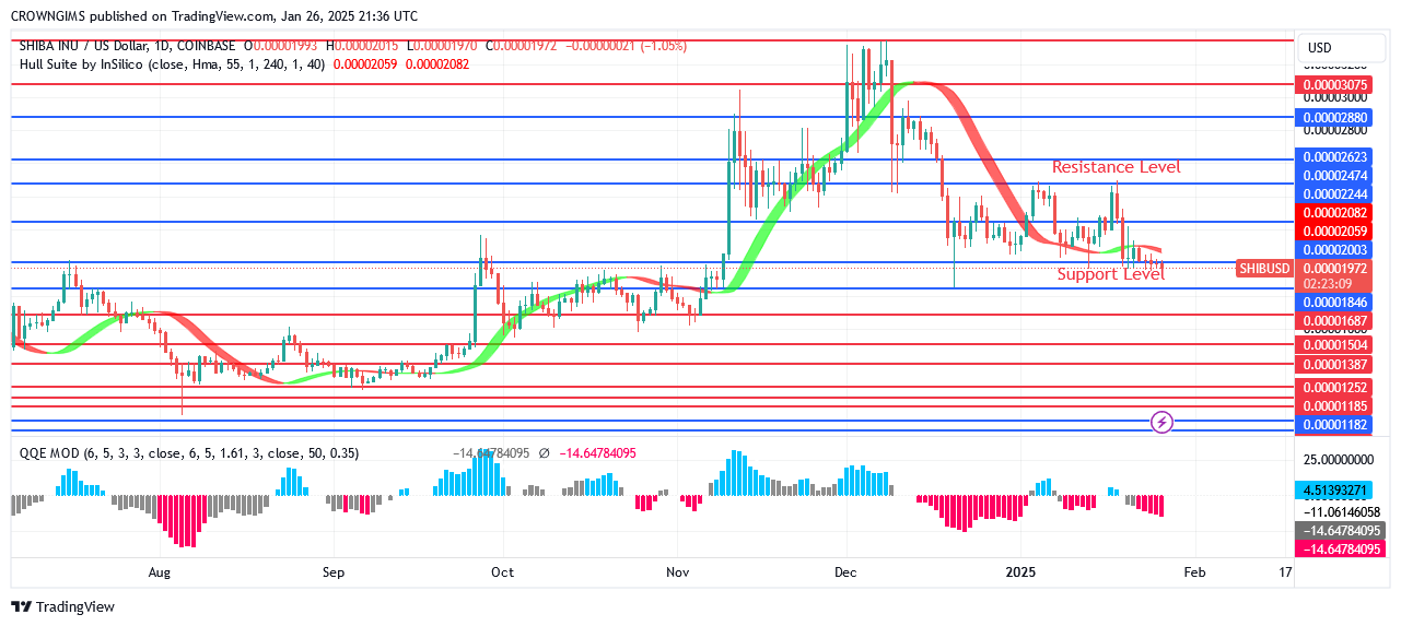 Shiba Inu (SHIB) Price: Further Price Declination Envisaged