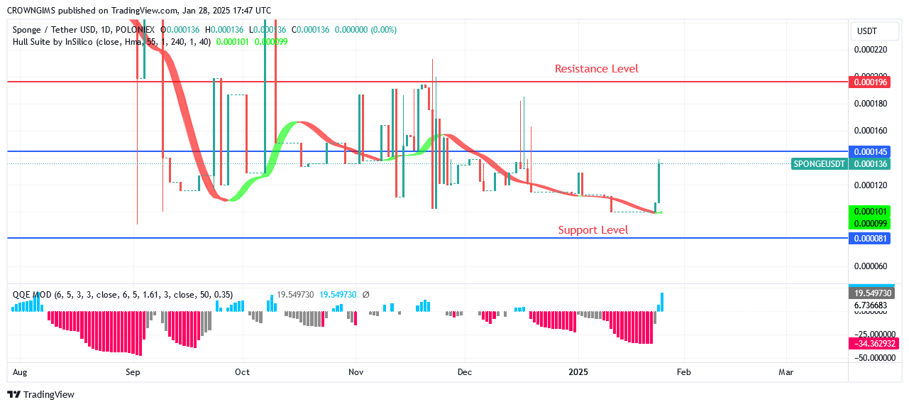 Sponge Price: More People Are Buying Coin