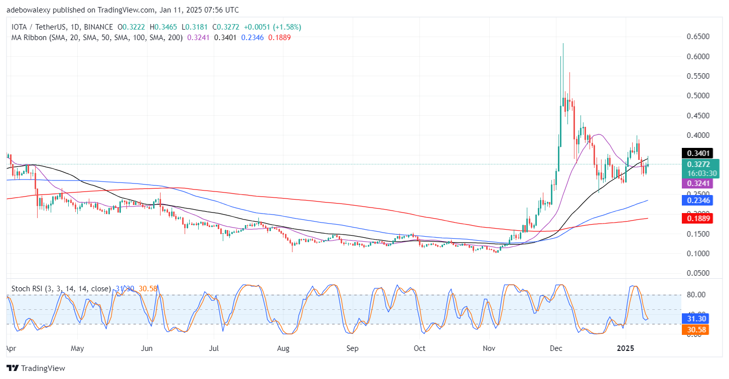 IOTA/USDT Buyers Are Holding to Today’s Gains