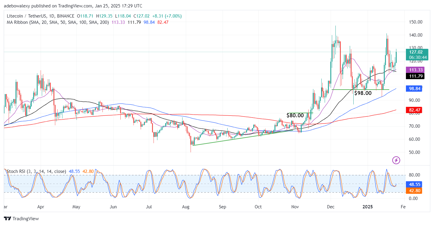 Trending Cryptocurrencies for January 25, 2025: XPR, LTC, STP, JUP, and VINE